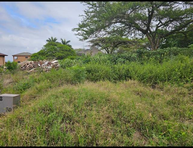 LAND FOR SALE IN LOUIS TRICHARDT